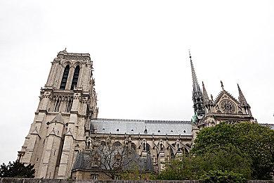 《生化危机RE：Verse》Stadia版通过欧洲PEGI评级